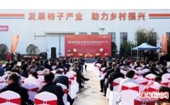 2025ƽڣƼܣ йҵ Ƭ